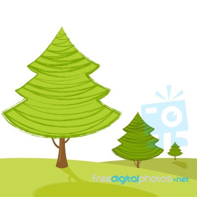 Trees Stock Image