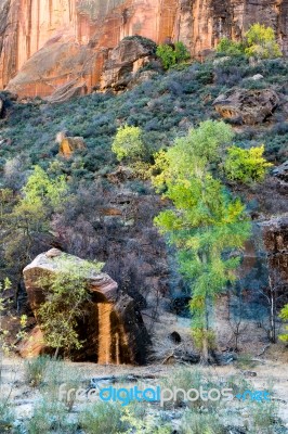 Trees And Boulders In Zion National Park Stock Photo
