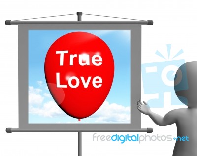 True Love Sign Represents Lovers And Couples Stock Image