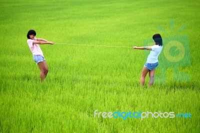Tug Of War Between Two Girls Stock Photo