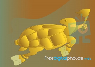 Turtle Running Stock Image