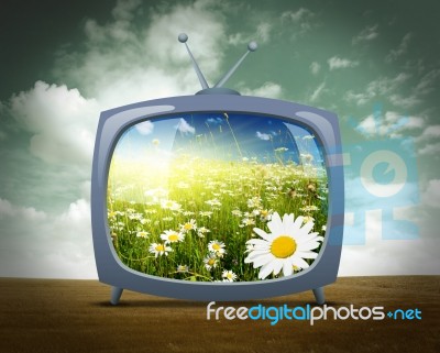 TV Ecologica Stock Image