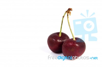 Two Cherries Stock Photo