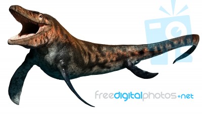 Tylosaurus 3d Illustration Stock Image