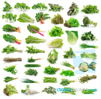 Vegetables Collection Isolated On White Background Stock Photo