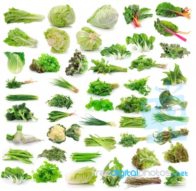 Vegetables Collection Isolated On White Background Stock Photo