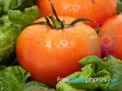 Vivid Wet Ripe Tomatoes Stock Photo
