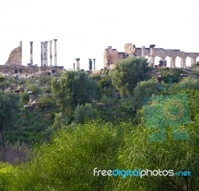 Volubilis In Morocco Africa The Old Roman Deteriorated Monument Stock Photo