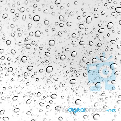 Water Droplets Stock Photo