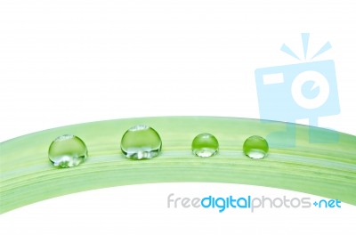 Water Drops On Green Leaf Isolated Stock Photo