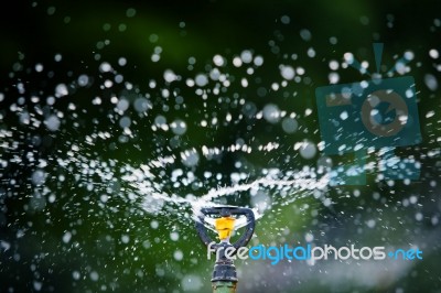 Water Sprinkler Stock Photo