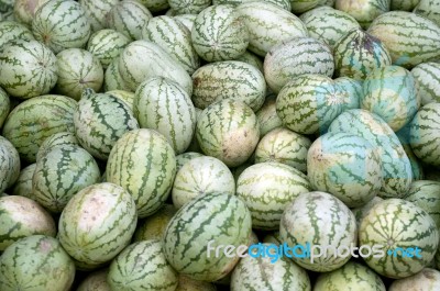 Watermelon Stock Photo Watermelon Stock Photo
