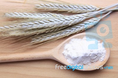Wheat And Flour Stock Photo