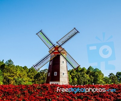 Windmill Of Loei Province,thailand Stock Photo
