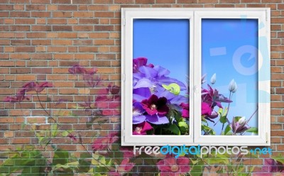 Window And Flowers Stock Photo