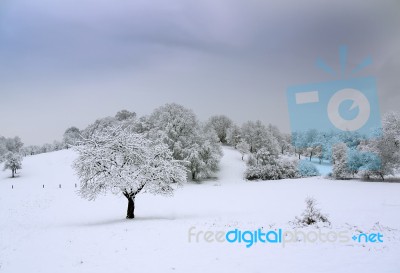 Winter Landscape Stock Photo