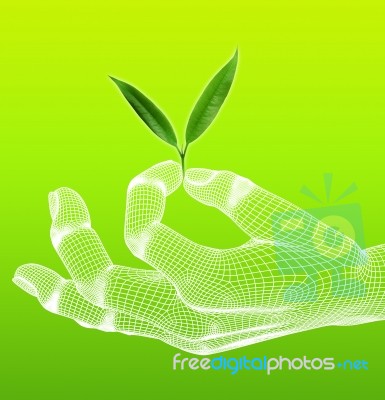Wireframe hand Holding Leaf Stock Photo