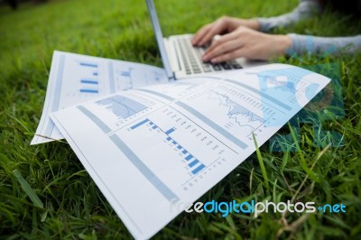 Woman Checking Reported Profits Stock Photo