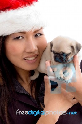 Woman With Puppy And Christmas Hat Stock Photo