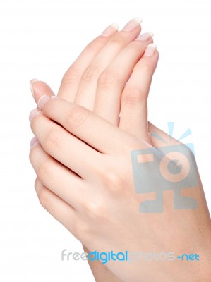 Woman's Hands Stock Photo