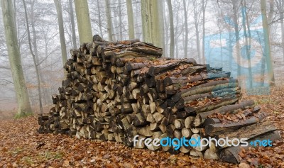 Wood Stock Photo