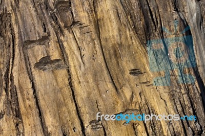 Wood Textured Stock Photo