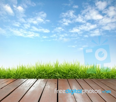 Wooden Terrace With Grass Stock Photo