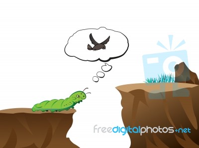 Worm Want To Go Cross Another Place Stock Image