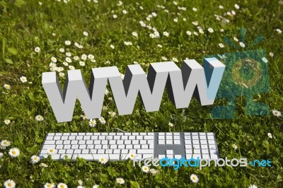 WWW With Keyboard On Garden Stock Image