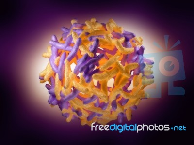 Yellow Fever Virus Stock Image