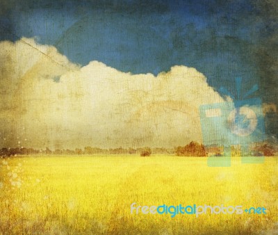 Yellow Field On Grunge Paper Stock Image