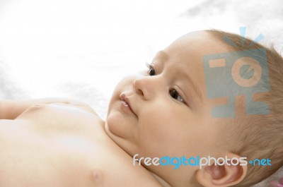Young Baby Stock Photo