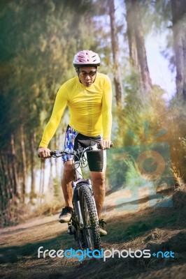 Young Man Riding Mountain Bike Mtb In Jungle Track Use For Sport… Stock Photo