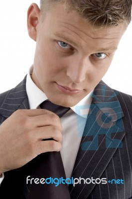 Young Professional Wearing Tie Stock Photo