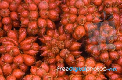 Zalacca Fruit Stock Photo