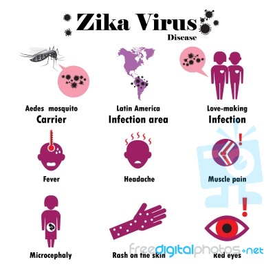 Zika Virus Infographic, Flat Design Stock Image