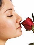 A Girl Smelling A Rose Stock Photo
