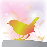 Abstract Bird Background Stock Photo