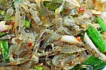 Alive Shrimp Salad Stock Photo