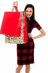 Attractive Young Lady With Shopping Bags Stock Photo