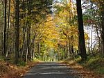 Autumn Bucks County, Pa Road With Orange & Green Foliage Stock Photo