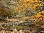 Autumn Bucks County Tincum Creek Stock Photo
