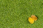 Background And Textured, Yellow Leaves Stock Photo