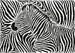 Background With A Zebra Motif stock image