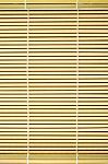 Bamboo Background Stock Photo
