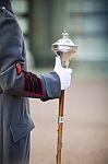 Bandmaster Holding Regiment Staff Stock Photo