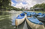 Bangkok, Thailand - September 11: Canoe Boats For Rent At Lumphini Park In Bangkok Thailand On September 11, 2012 Stock Photo