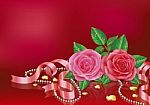 Beautiful Pink Roses With Ribbon Stock Photo
