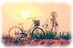 Beautiful Vintage Bicycle Stock Photo