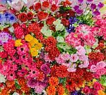 Beautyful Colorful Mixed Bouquet With Various Spring Flowers Stock Photo